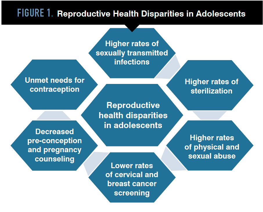 FIGURE 1. Reproductive Health Disparities in Adolescents