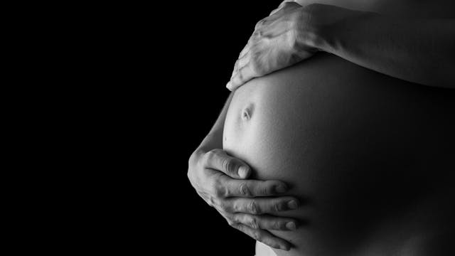 Study links solid organ transplant to adverse pregnancy outcomes | Image Credit: © Gajus - © Gajus - stock.adobe.com.