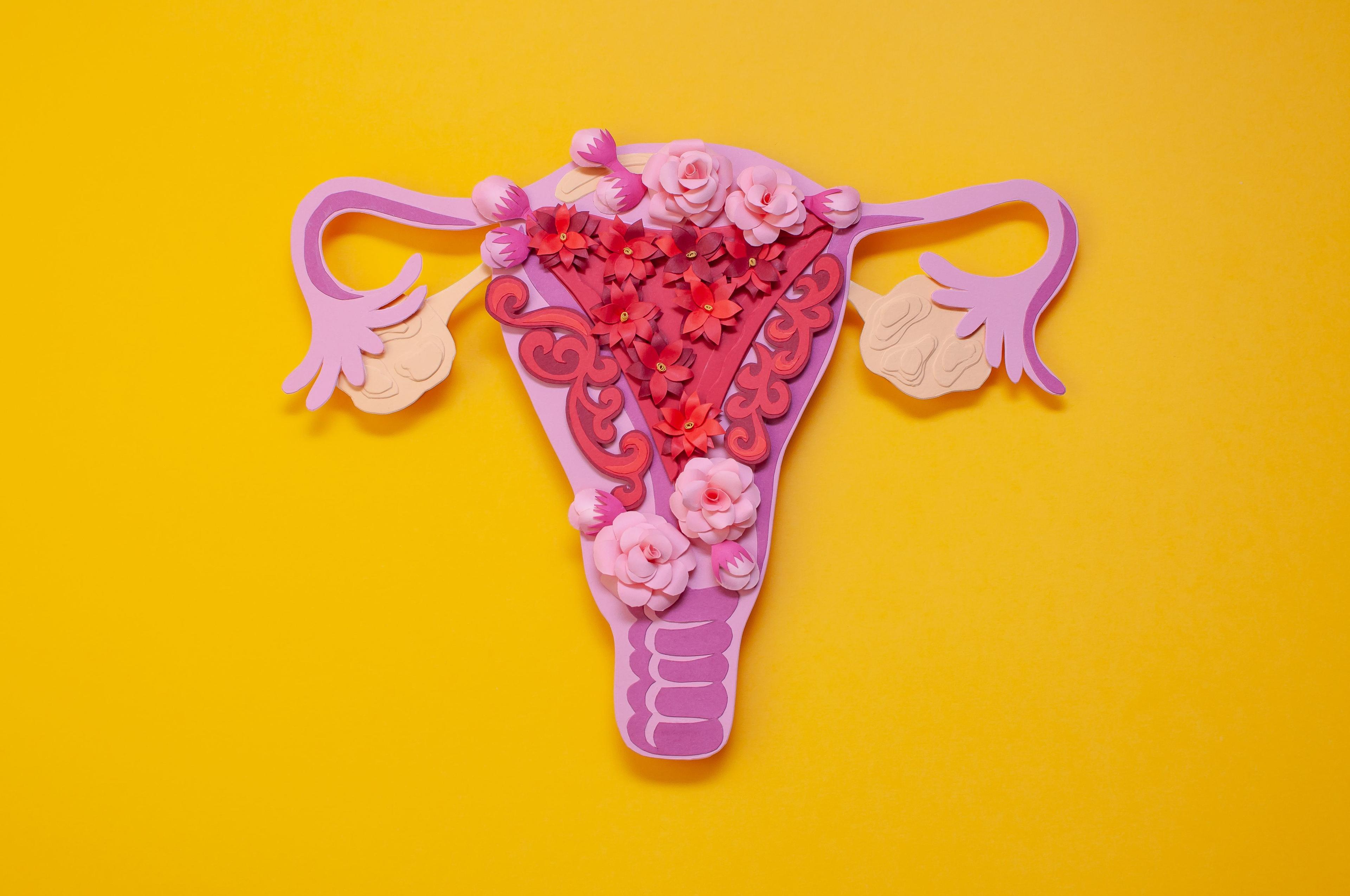 Dietary vitamin B6 intake linked to endometriosis pathways | Image Credit: © Alena - © Alena - stock.adobe.com.