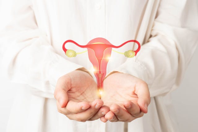 Study links endometriosis to increased risk of ovarian cancer | Image Credit: © Orawan - © Orawan - stock.adobe.com.