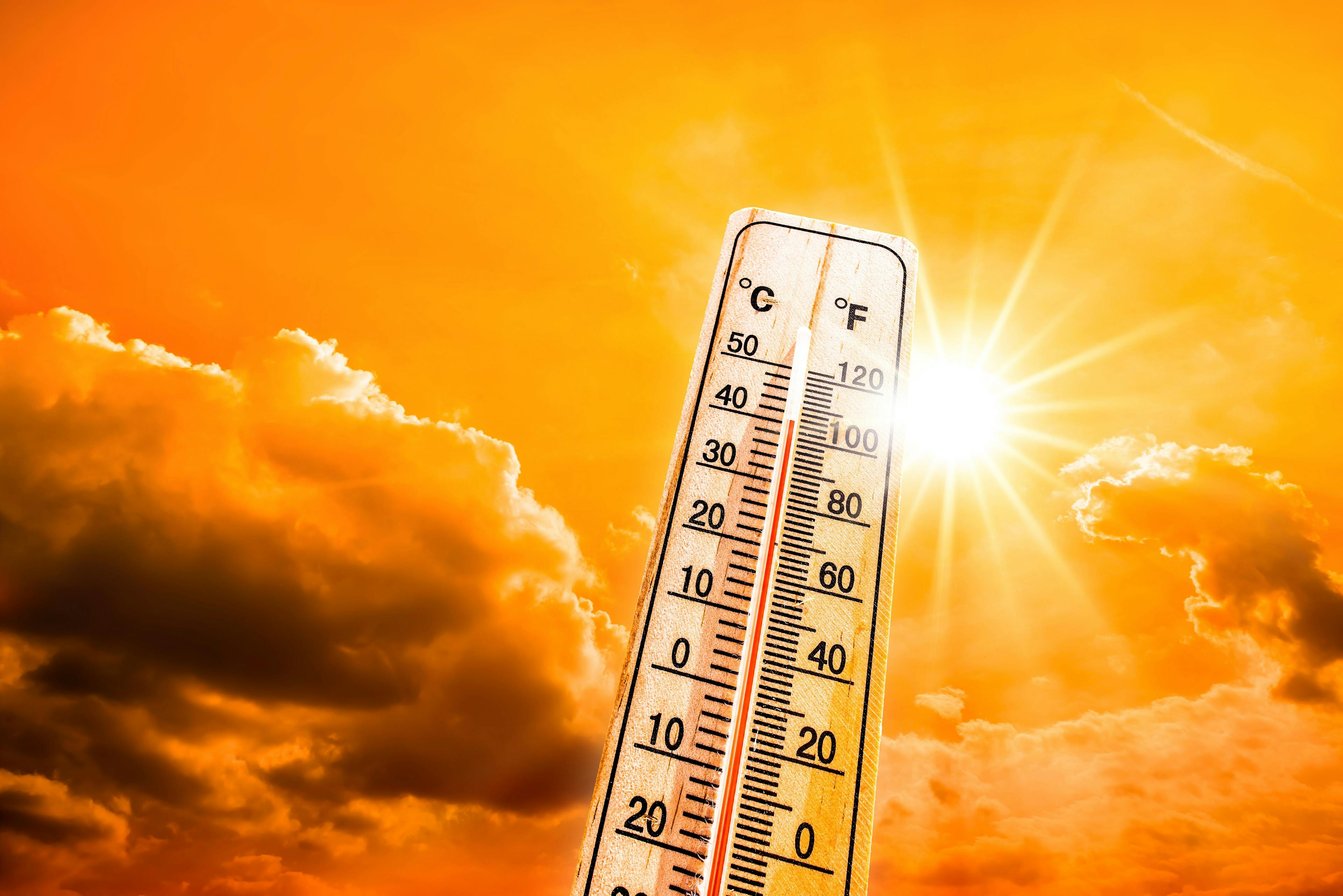 Heat waves linked to increased rates of preterm and early-term births | Image Credit: © Günter Albers - © Günter Albers - stock.adobe.com.